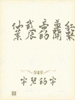 仙武帝尊红尘与叶辰的关系