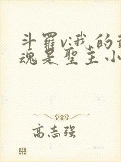 斗罗v:我的武魂是圣主小说