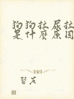 狗狗拉尿拉出血是什么原因