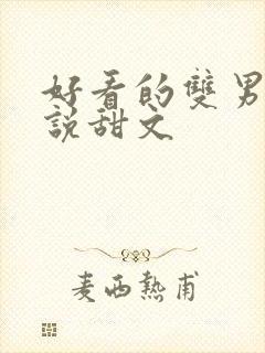 好看的双男主小说甜文