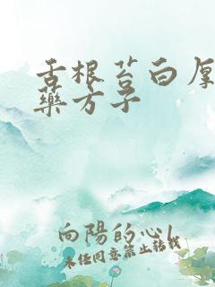 舌根苔白厚腻中药方子