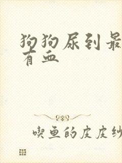 狗狗尿到最后才有血