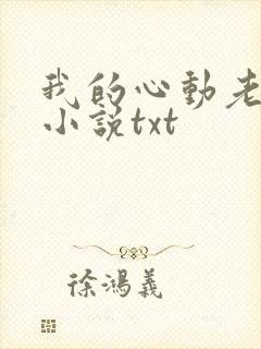 我的心动老板娘小说txt