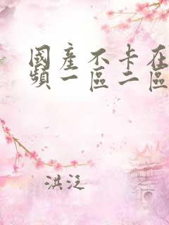 国产不卡在线视频一区二区