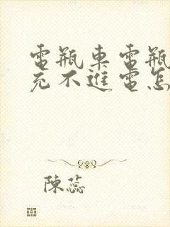 电瓶车电瓶亏电充不进电怎么修复