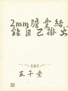 2mm胆囊结石能自己排出来吗