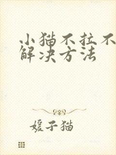 小猫不拉不尿的解决方法