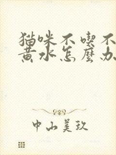 猫咪不吃不喝吐黄水怎么办