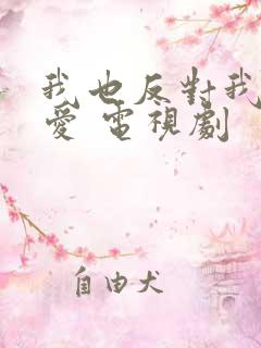 我也反对我的恋爱 电视剧