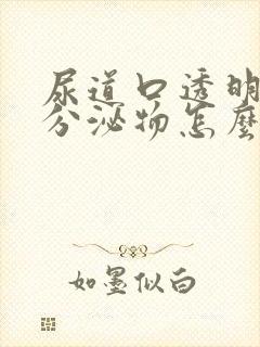 尿道口透明粘性分泌物怎么回事