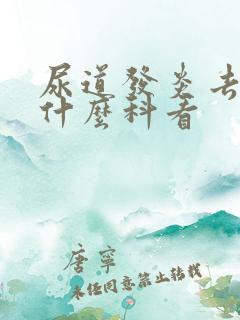 尿道发炎去医院什么科看