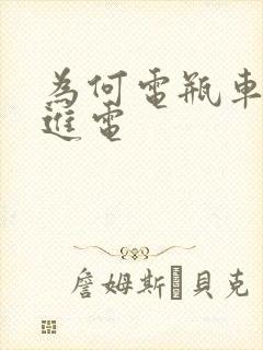 为何电瓶车充不进电