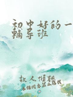 初中好的一对一辅导班