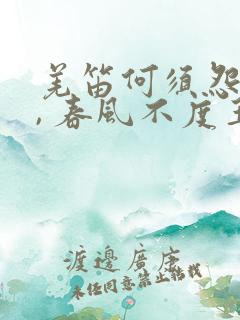 羌笛何须怨杨柳, 春风不度玉门关