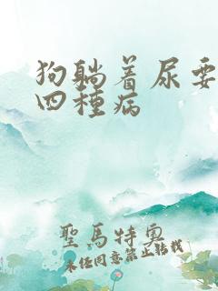 狗躺着尿要警惕四种病