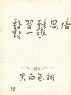 补习雅思培训一对一班