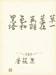 黑色五叶草亚斯塔和谁在一起了