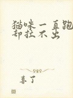 猫咪一直跑厕所却拉不出