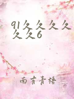 91久久久久久久久6