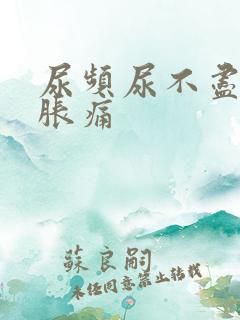 尿频尿不尽小腹胀痛