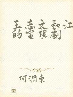 王志文和江珊演的电视剧