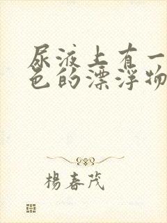 尿液上有一层白色的漂浮物