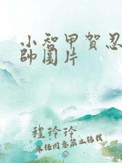 小智甲贺忍蛙最帅图片