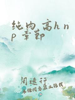 纯肉 高h np 章节