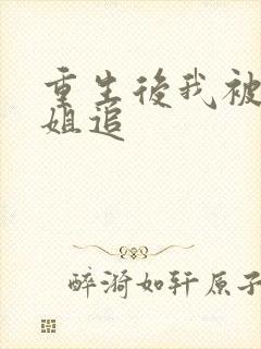 重生后我被大小姐追