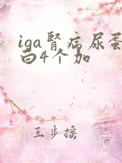 iga肾病尿蛋白4个加