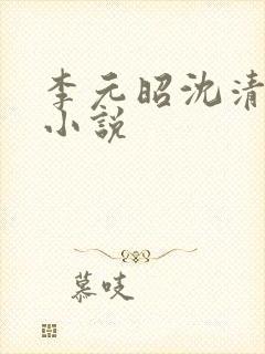 李元昭沈清璃的小说