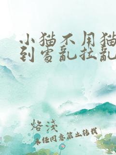 小猫不用猫砂盆到处乱拉乱尿