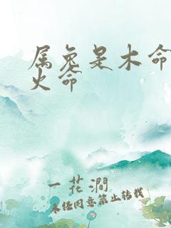 属兔是木命还是火命