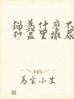 猫为什么不在猫砂盆里撒尿