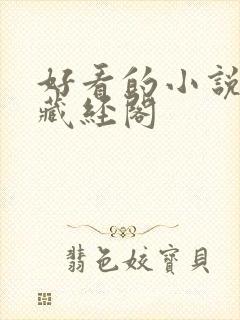 好看的小说大全藏经阁