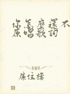 你怎么还不明白原唱歌词