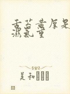 舌苔黄厚是不是湿气重