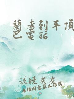 兰考到平顶山大巴电话