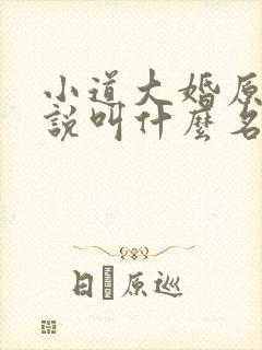 小道大婚原著小说叫什么名字