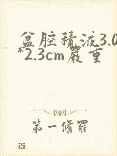 盆腔积液3.0*2.3cm严重