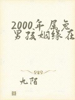 2000年属兔男孩姻缘在哪一年