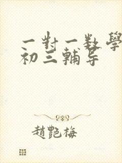 一对一数学网上初三辅导