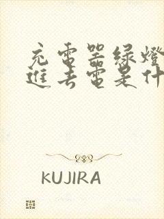 充电器绿灯充不进去电是什么原因