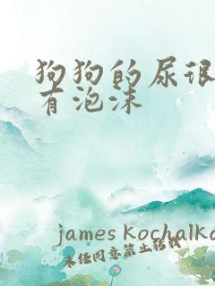 狗狗的尿很黄且有泡沫