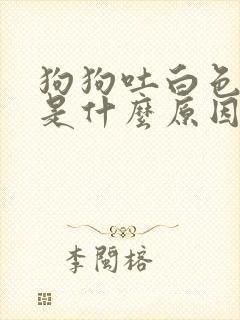 狗狗吐白色泡沫是什么原因造成的