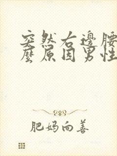 突然右边腰痛什么原因男性