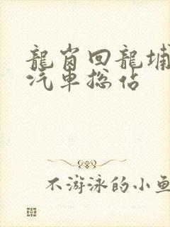 龙岗回龙埔长途汽车总站