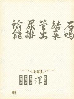 输尿管结石末端能排出来吗