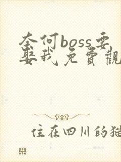 奈何boss要娶我免费观看版