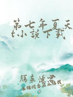 第七年夏天txt小说下载